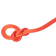 Frânghie Mammut 9.8 Crag Dry vibrant orange-lavandin