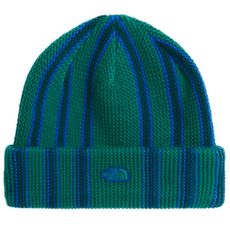 Căciuli The North Face URBAN EXPLORE BEANIE WA6 EVERGREEN/HUNTER GREEN/
