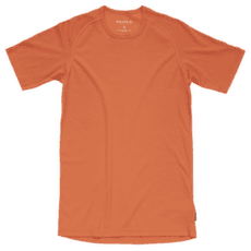 Tricou cu mânecă scurtă Devold Lauparen Merino 190 Base Tee Men 087A BRICK