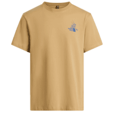 Tricou cu mânecă scurtă The North Face Mountain Celebration Regular SS Tee - Graphic Men Khaki Stone
