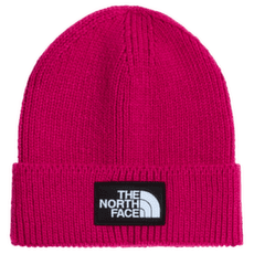 Căciuli The North Face TNF LOGO BOX CUFFED BEANIE BOS LALI GURAN