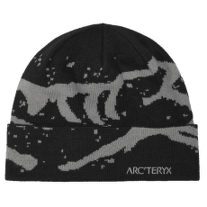 Căciuli Arcteryx Grotto Toque Black / Void