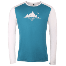 Tricou cu mânecă lungă Direct Alpine Furry Long 2.0 emerald/grey