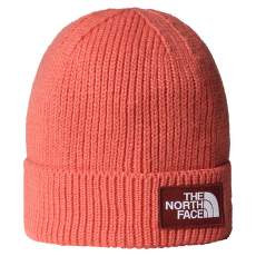 Căciuli The North Face TNF LOGO BOX CUFFED BEANIE EED MARS DUST/SUMAC