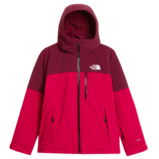 Jachetă The North Face FREEDOM INSULATED JACKET WOMEN S69 LALI GURAN/BURGUNDY CRUSH