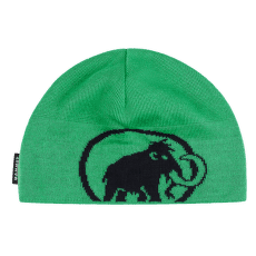 Căciuli Mammut Tweak Beanie (1191-01352) 40313 pinea-black