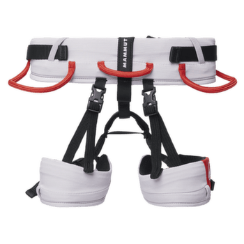 Șaua Mammut Ophir Kids 2.0 alpine calamint-mammut red