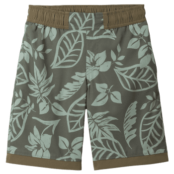 Pantaloni scurți Columbia Sandy Shores Boardshort Boys Stone Green Pasteled Tonal 397