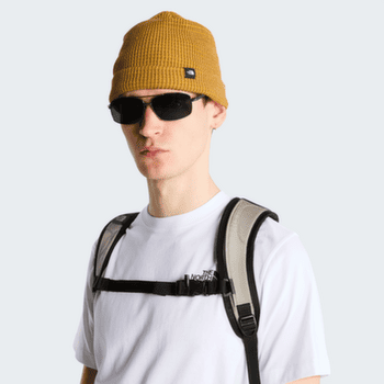 Căciuli The North Face TNF FISHERMAN BEANIE NLW BOTTLE GREEN