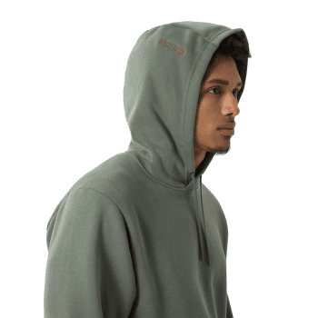 Hanorac Arcteryx Emblem Fleece Hoody Men Forage