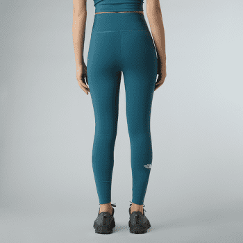 Colanți The North Face FLEX WARM TIGHTS Women TNF BLACK