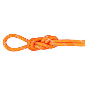 Frânghie Mammut 9.5 Alpine Dry Dry Standard 11256