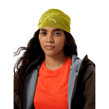 Căciuli Arcteryx Satoro Merino Toque Mantis