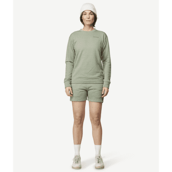 Tricou cu mânecă lungă Devold Everyday Crew Women FOG