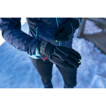 Mănuși Direct Alpine Express Plus Glove black