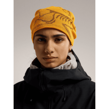 Căciuli Arcteryx Bird Head Toque Sea Salt / Habitat