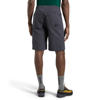 Pantaloni scurți La Sportiva TALUS SHORTS Men Cypress/Night Sky