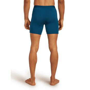 Boxeri Icebreaker Anatomica Long Boxers Men DK LODEN
