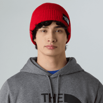Căciuli The North Face TNF LOGO BOX CUFFED BEANIE EED MARS DUST/SUMAC