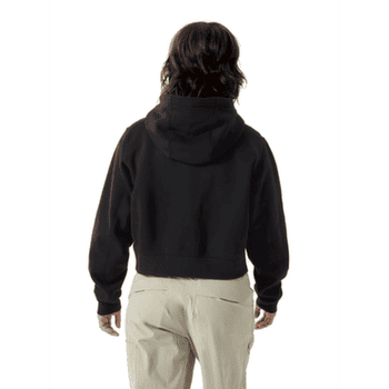 Hanorac Arcteryx Emblem Fleece Full Zip Crop Hoody Women Pineberry