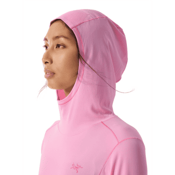 Hanorac Arcteryx Sunna Hoody Women Pineberry
