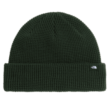 Căciuli The North Face TNF FISHERMAN BEANIE NLW BOTTLE GREEN