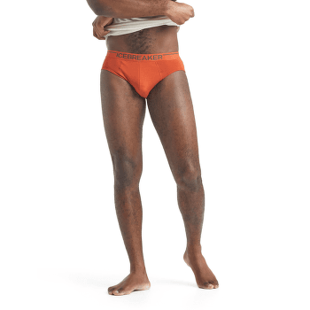 Slip Icebreaker Anatomica Briefs Men (103031) Black/Monsoon