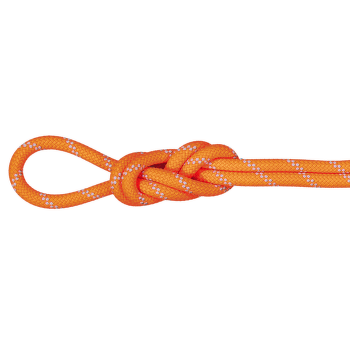 Frânghie Mammut 9.5 Alpine Dry Dry Standard 11256