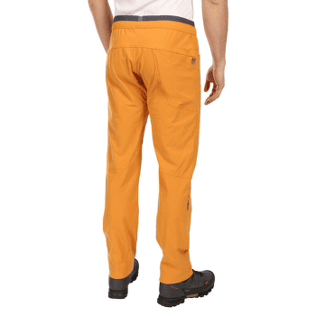 Pantaloni Direct Alpine Solo Pants anthracite