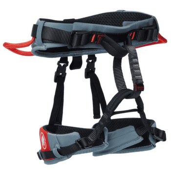 Șaua Mammut Ophir Kids 2.0 alpine calamint-mammut red
