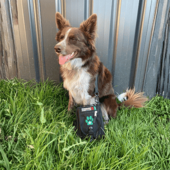 Trusă de prim ajutor Survival Survival First Aid Kit Pet
