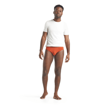 Slip Icebreaker Anatomica Briefs Men (103031) Black/Monsoon