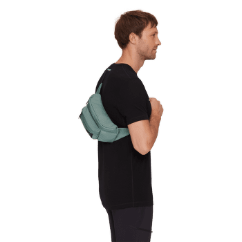 Rinichi Mammut Xeron Neuveville Waistpack black 0001