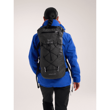 Rucsac Arcteryx Alpha FL 20 Dynasty