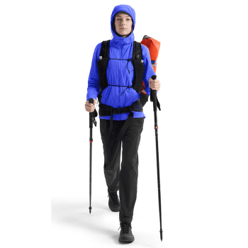 Jachetă Arcteryx Atom SL Hoody Women Mantis