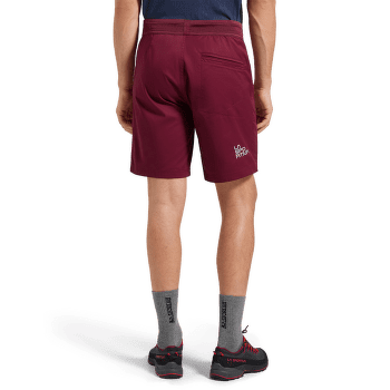 Pantaloni scurți La Sportiva ROOTS SHORTS Men Cypress/Night Sky