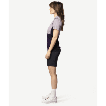 Tricou cu mânecă scurtă Devold Lauparen Merino 190 T-Shirt Women 167B ORCHID/LILAC/INK