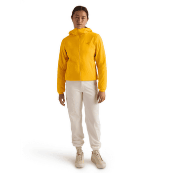 Jachetă Arcteryx Atom Hoody Women Pineberry