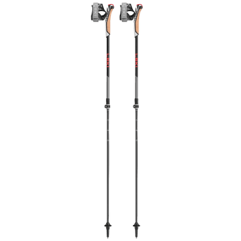 Gaură Leki Instructor Lite dark anthracite-silvergray-bright red