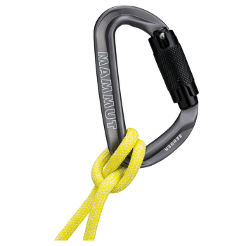 Carabină Mammut Sender Twistlock Carabiner Grey 1602