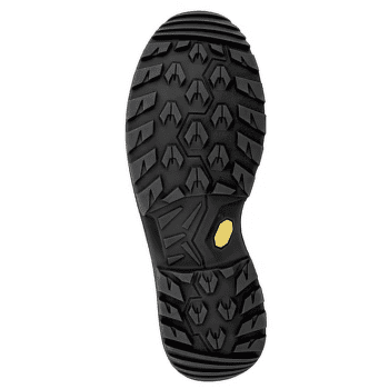 Încălțăminte Lowa Renegade Evo GTX Mid Wide Women asphalt/turquoise