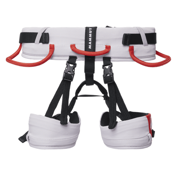 Șaua Mammut Ophir Kids 2.0 alpine calamint-mammut red