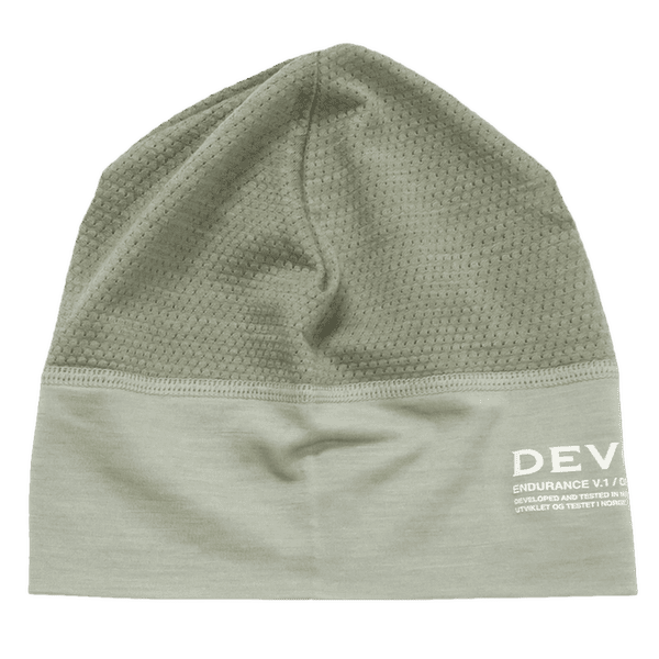 Căciuli Devold Endurance Merino Light Beanice FOG