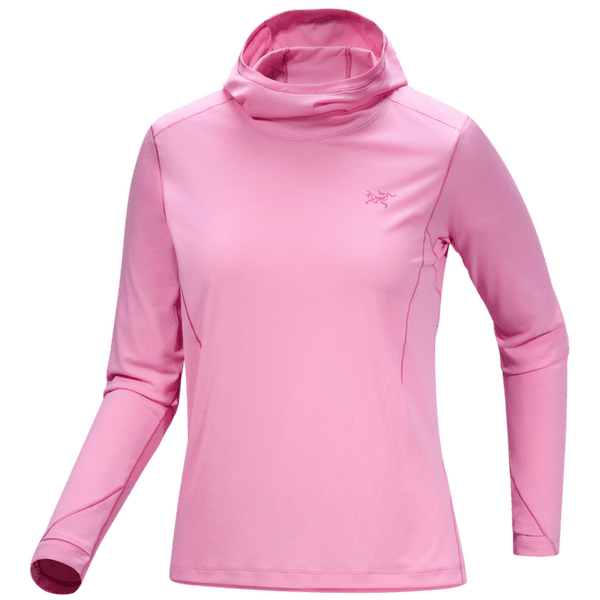 Hanorac Arcteryx Sunna Hoody Women Pineberry