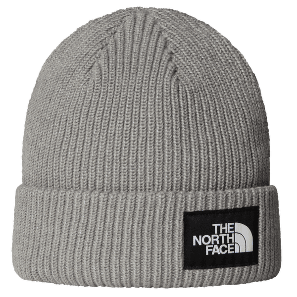 Căciuli The North Face SALTY LINED BEANIE TNFLIGHTGREYHTR
