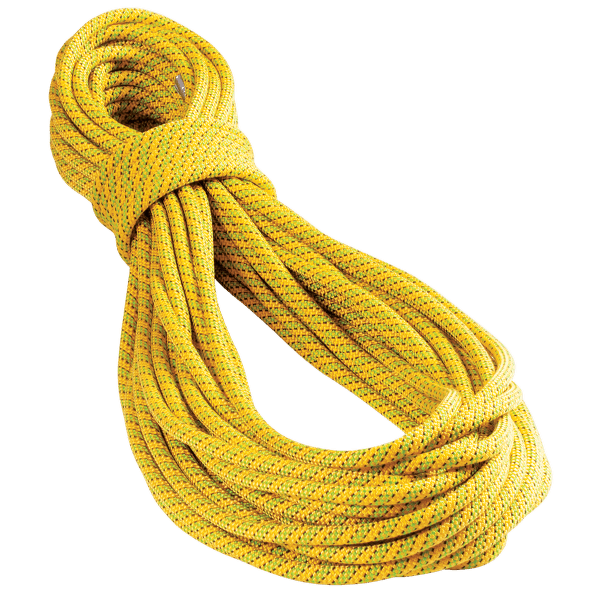 Frânghie Tendon Ambition CS 9,8 Žlutá
