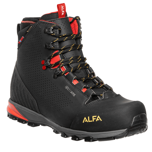Încălțăminte Alfa HOLT APS GTX Women Black
