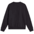 Hanorac The North Face EVOLUTION SIMPLE DOME REGULAR CREW MEN TNF BLACK