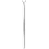 Schi Zag Skis UBAC 89 Lady BLUE