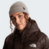 Căciuli The North Face TNF FISHERMAN BEANIE NLW BOTTLE GREEN